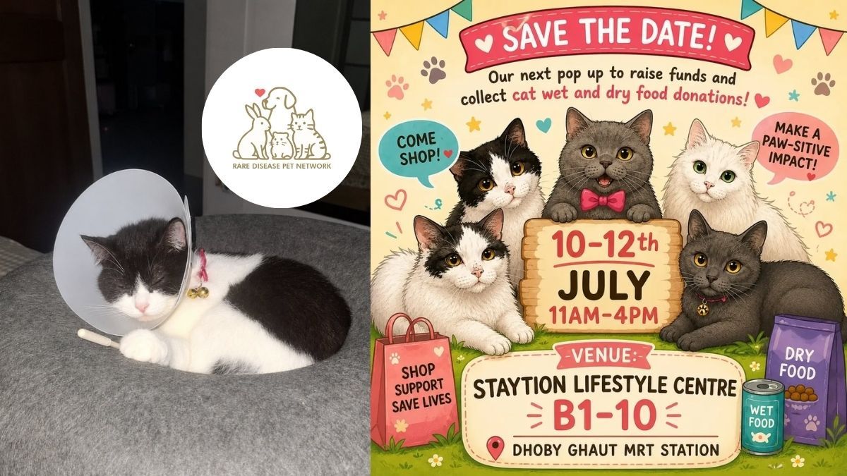 Handmade Crafts Meet Animal Welfare.jpg